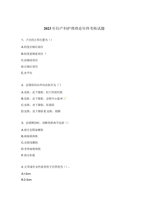 2023年妇产科护理理论年终考核试题.docx