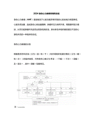 2024急性心力衰竭常用药总结.docx