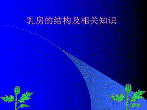 乳房的结构及相关知识.ppt.ppt