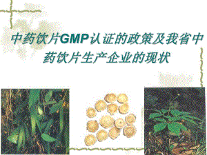中药饮片GMP认证的政策.ppt