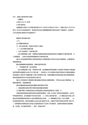 亏损为名审计报告.docx