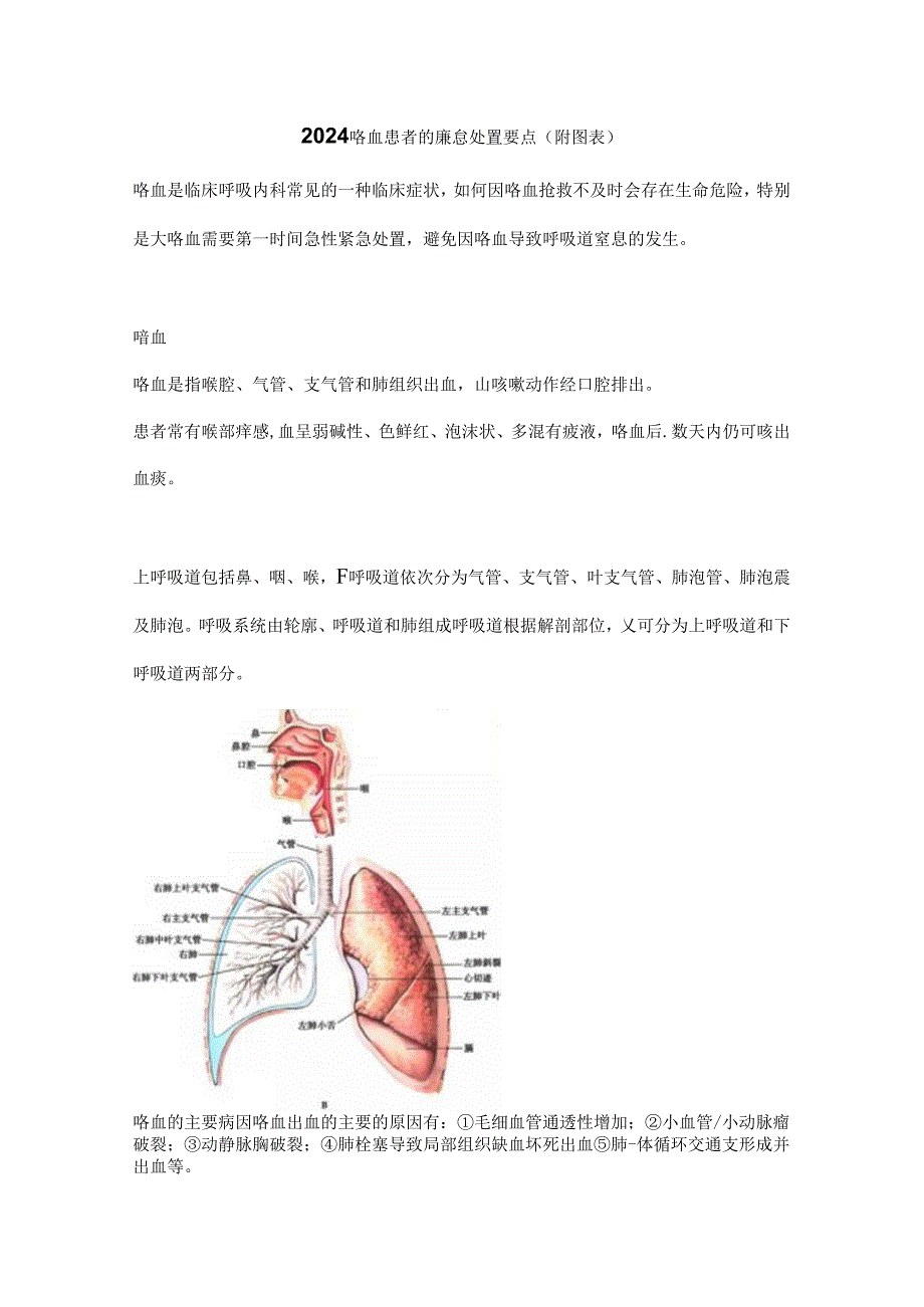 2024咯血患者的紧急处置要点(附图表).docx_第1页