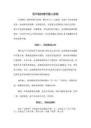 伤不起的楼市雷人促销.docx