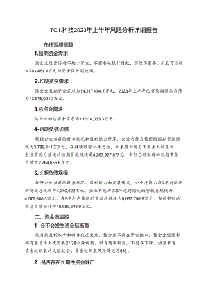 000100TCL科技2023年上半年财务风险分析详细报告.docx