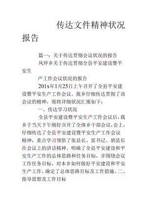 传达文件精神情况报告.docx