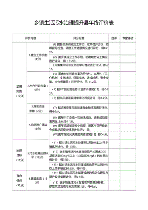 乡镇生活污水治理提升县年终评价表.docx