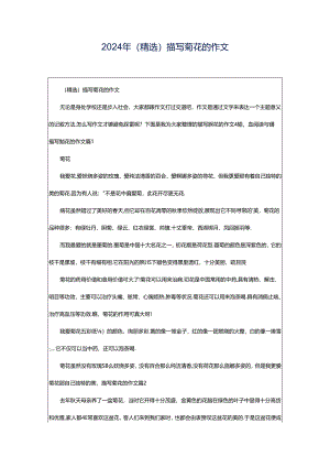 2024年（精选）描写菊花的作文.docx