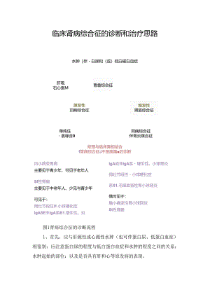 临床肾病综合征的诊断和治疗思路.docx