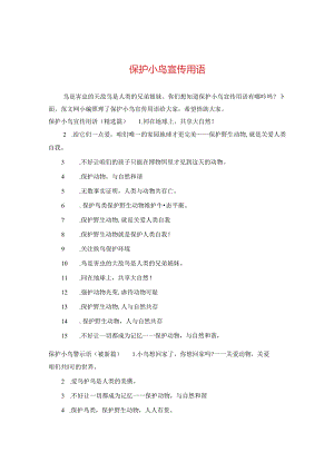 保护小鸟宣传用语.docx