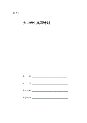 2024年大中专生实习计划.docx