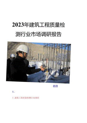 2023年建设工程质量检测行业市场调研报告.docx