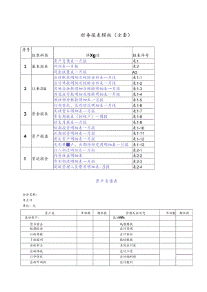 2024年财务报表模板全套.docx