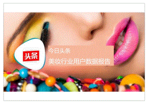 2017美妆行业用户数据报告.docx