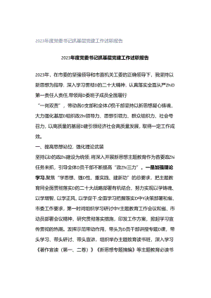 2023年度党委书记抓基层党建工作述职报告.docx