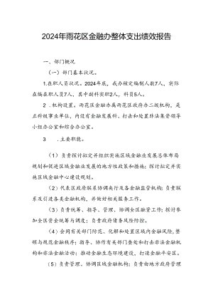 2024年雨花区金融办整体支出绩效报告.docx