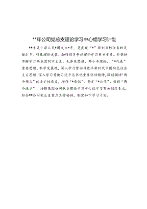 2024年公司党总支理论学习中心组学习计划.docx