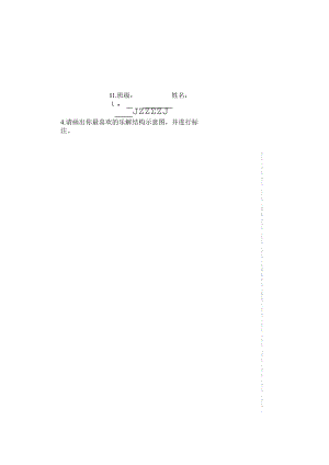 乐器小调查.docx