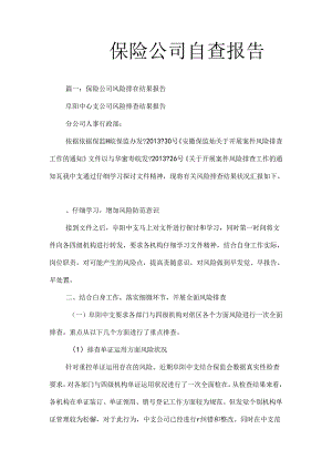 保险公司自查报告.docx