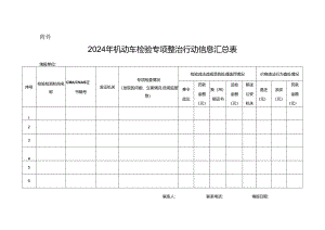 2024年机动车检验专项整治行动信息汇总表.docx
