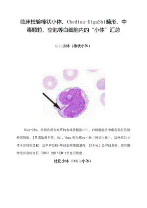 临床检验棒状小体、Chediak-Higashi畸形、中毒颗粒、空泡等白细胞内的“小体”汇总.docx