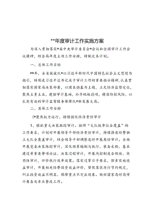 2024年度审计工作实施方案.docx