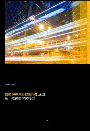 借助 SAP 内存数据库加速创新推进数字化转型.docx