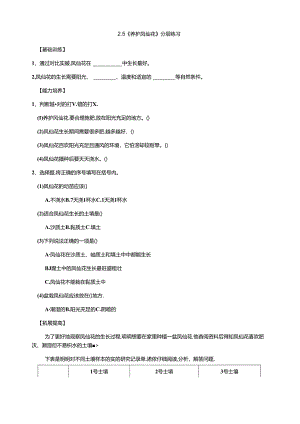 2.5《养护凤仙花》分层练习（含答案） 人教鄂教版小学科学三年级下册.docx
