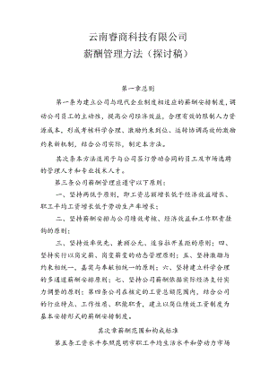 云南睿商科技有限公司薪酬管理制度(讨论稿).docx