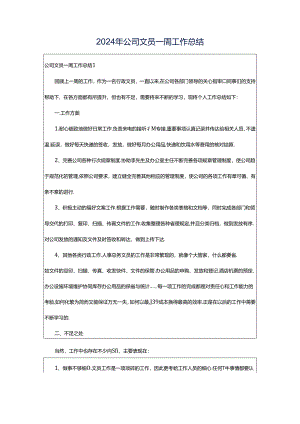 2024年公司文员一周工作总结.docx