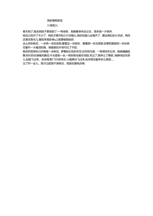 31我的植物朋友 苗钰儿公开课教案教学设计课件资料.docx