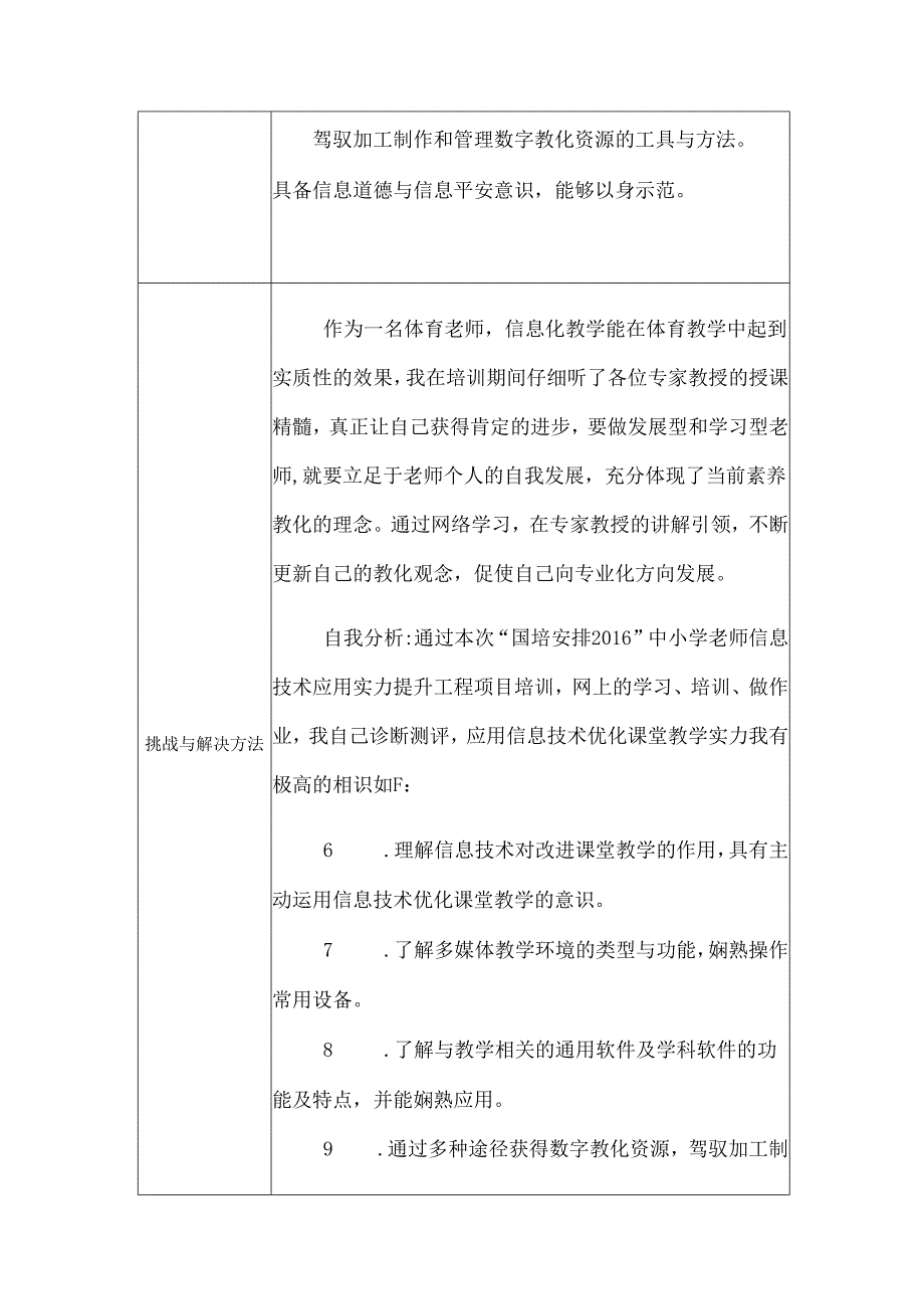 信息技术应用能力持续提升计划.docx_第3页