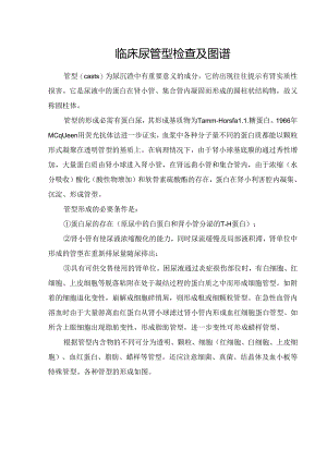 临床尿管型检查及图谱.docx