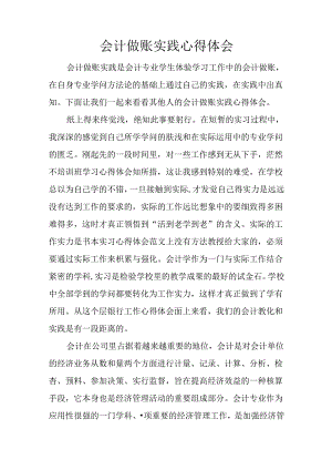 会计做账实践心得体会.docx