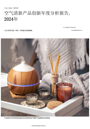 2024空气清新产品创新年度分析报告-30正式版.docx