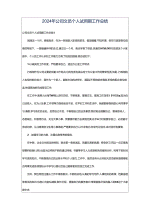 2024年公司文员个人试用期工作总结.docx