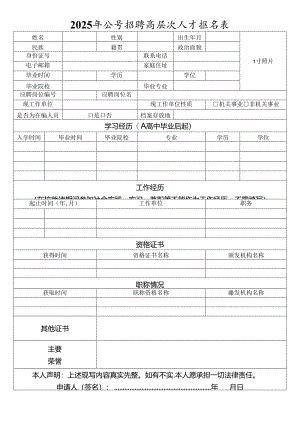 2025年公开招聘高层次人才报名表.docx