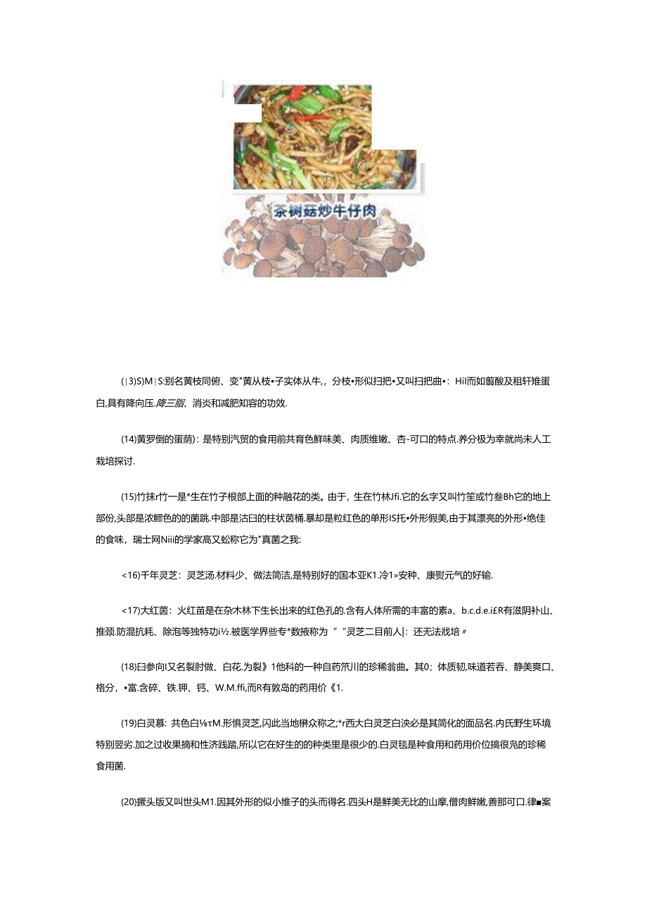 云南野生菌的基本种类.docx_第3页