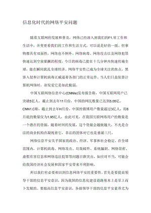 信息化时代的网络安全问题-最新资料.docx