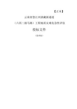 云南六丙二级公路地质灾害危险性评估投标文件.docx