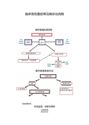 临床急危重症常见病诊治流程.docx