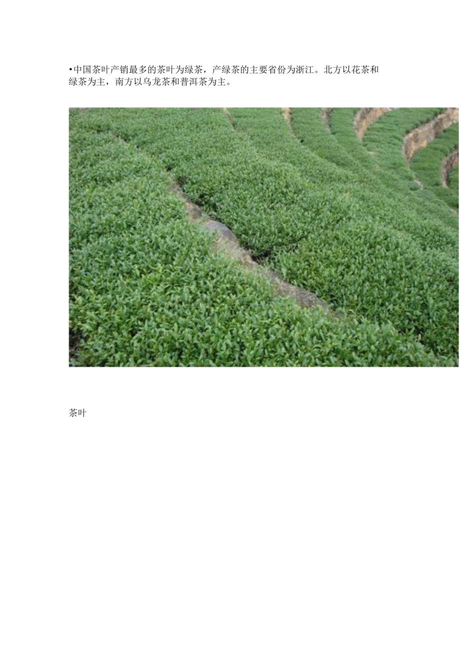 六大茶叶基础知识培训.docx_第2页
