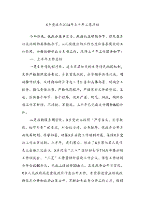 X乡党政办2024年上半年工作总结.docx