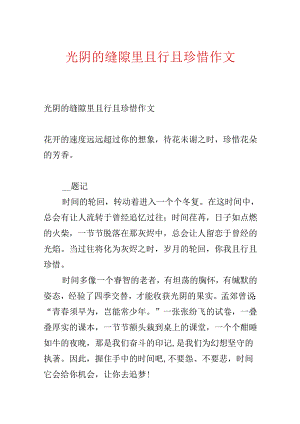 光阴的缝隙里且行且珍惜作文.docx