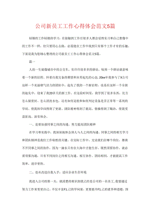 公司新员工工作心得体会范文5篇.docx