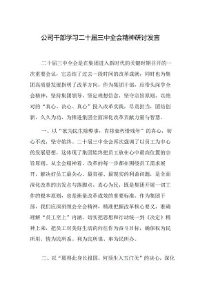 公司干部、员工学习二十届三中全会精神研讨发言范文.docx