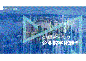 SAP助力企业数字化转型-V2.docx