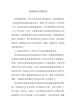 公务员岗前培训培训心得.docx