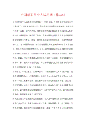 公司新职员个人试用期工作总结.docx