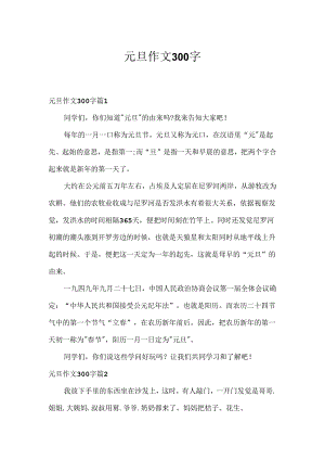 元旦作文300字.docx