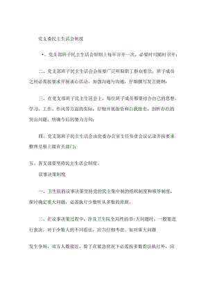 党支部工作制度(卫生院)MicrosoftWord文档(精).docx